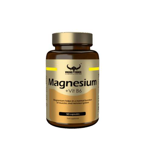 منیزیم و ویتامین ب 6 وایکینگ VIKING MAGNESIUM VIT B6