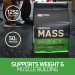 گینر سریوس مس اپتیموم نوتریشن Optimum Nutrition Serious Mass