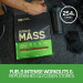 گینر سریوس مس اپتیموم نوتریشن Optimum Nutrition Serious Mass