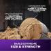 گینر مس تک اکستریم 2000 ماسل تک MuscleTech Mass Tech Extreme 2000